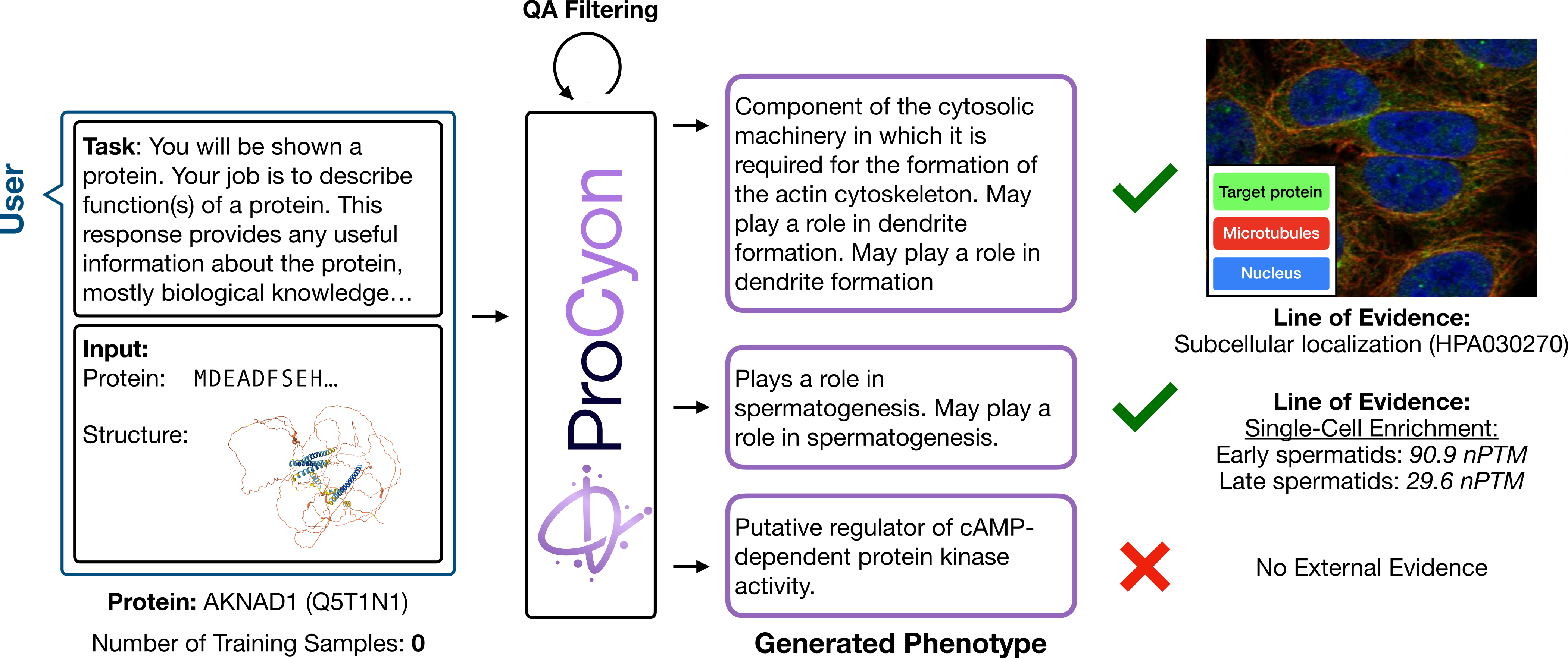 ProCyon AKNAD1 figure