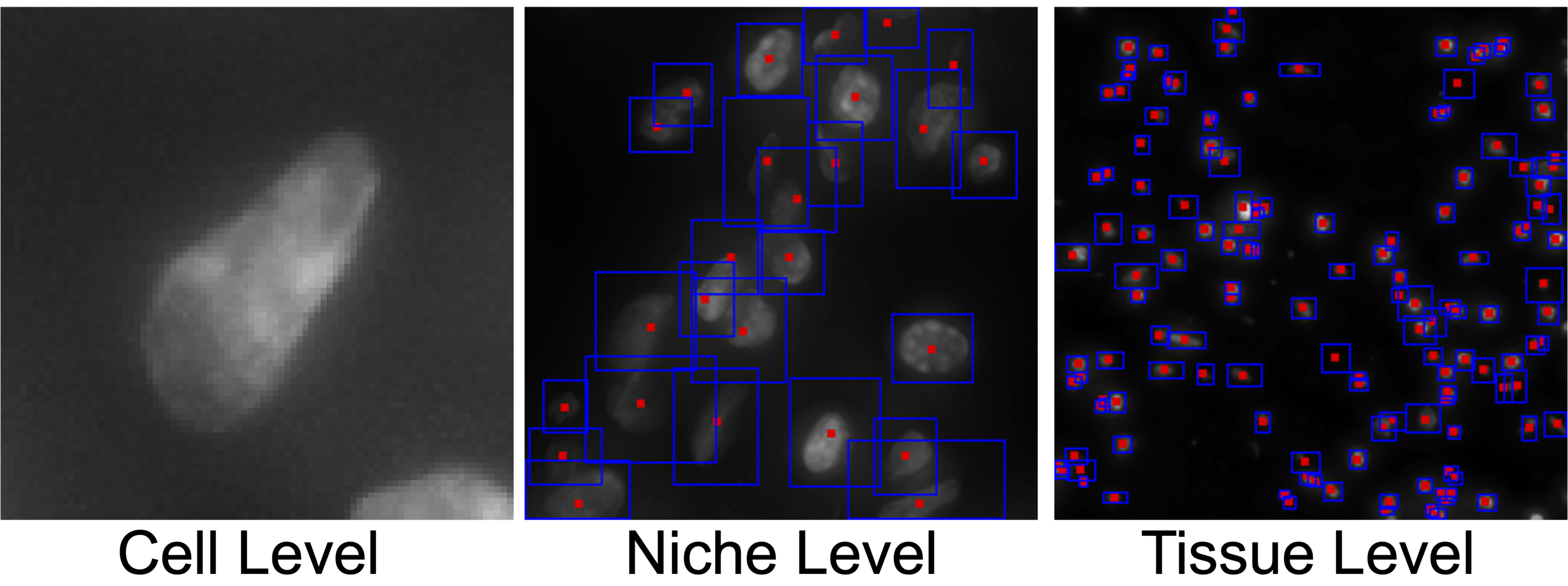Multi-level spatial context and training data