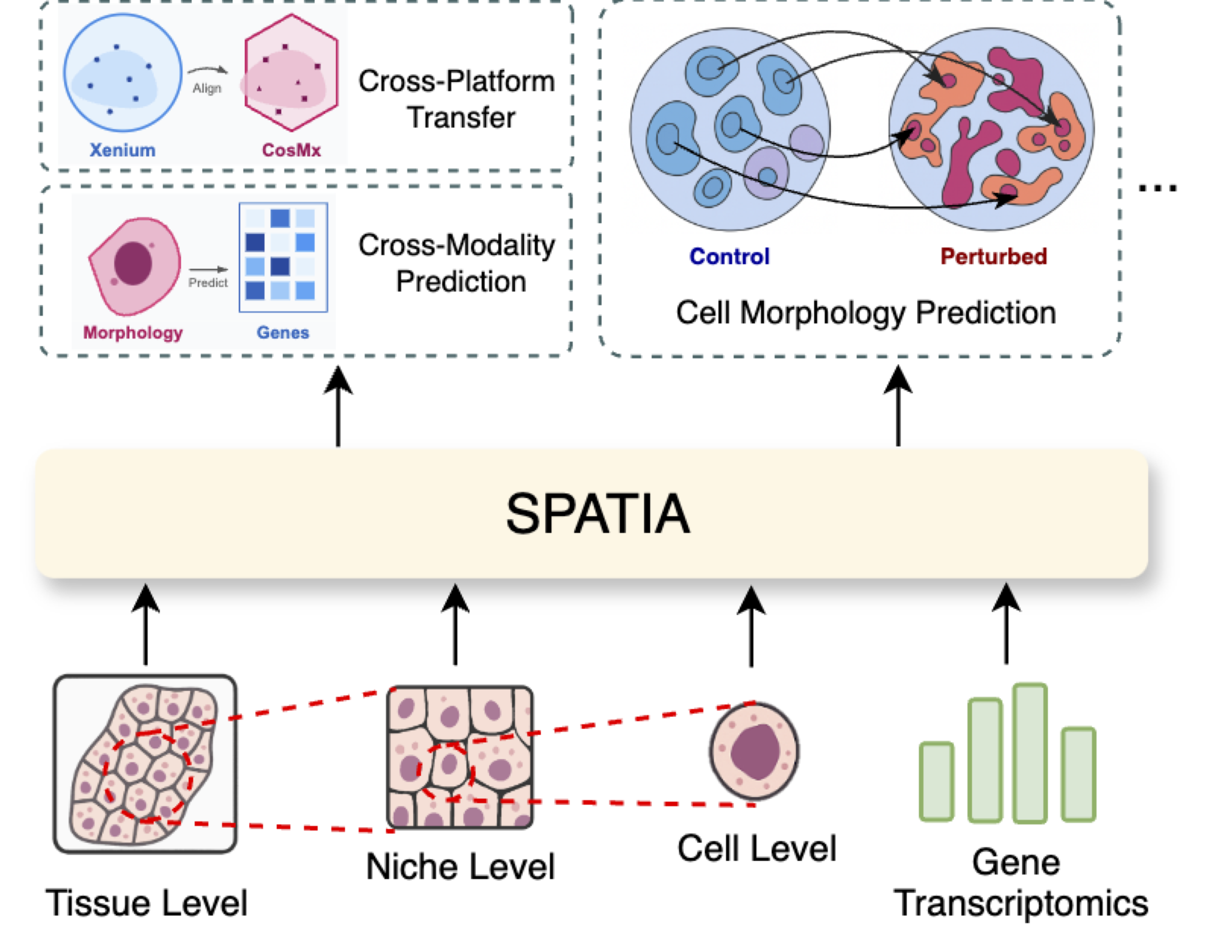 Overview of SPATIA