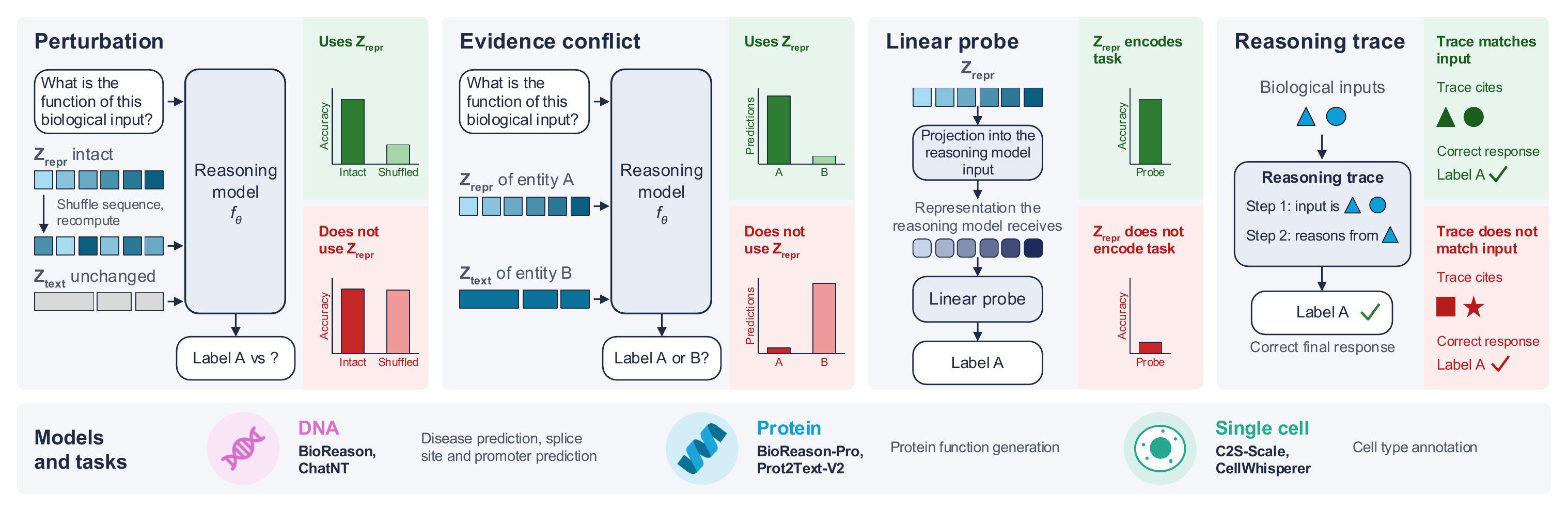 The four tests and the models evaluated across DNA, protein and single cell
